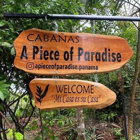 A Piece Of Paradise サン・カルロス エクステリア 写真