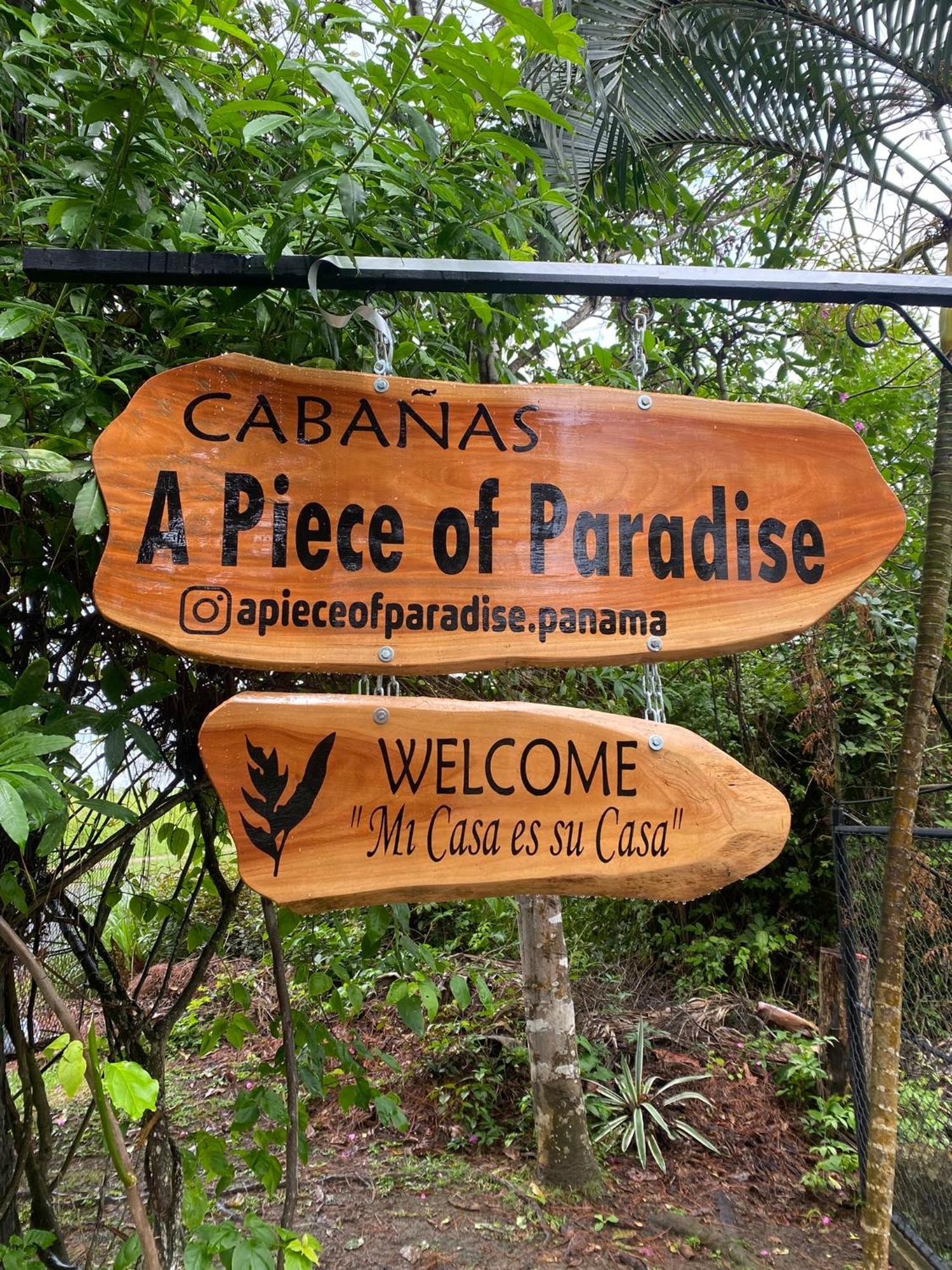 A Piece Of Paradise サン・カルロス エクステリア 写真